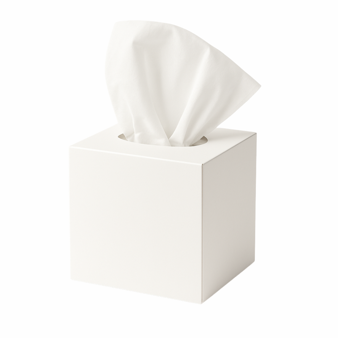 https://stavian.tigrendev.com/wp-content/uploads/2025/03/facial-cube-box-2.png