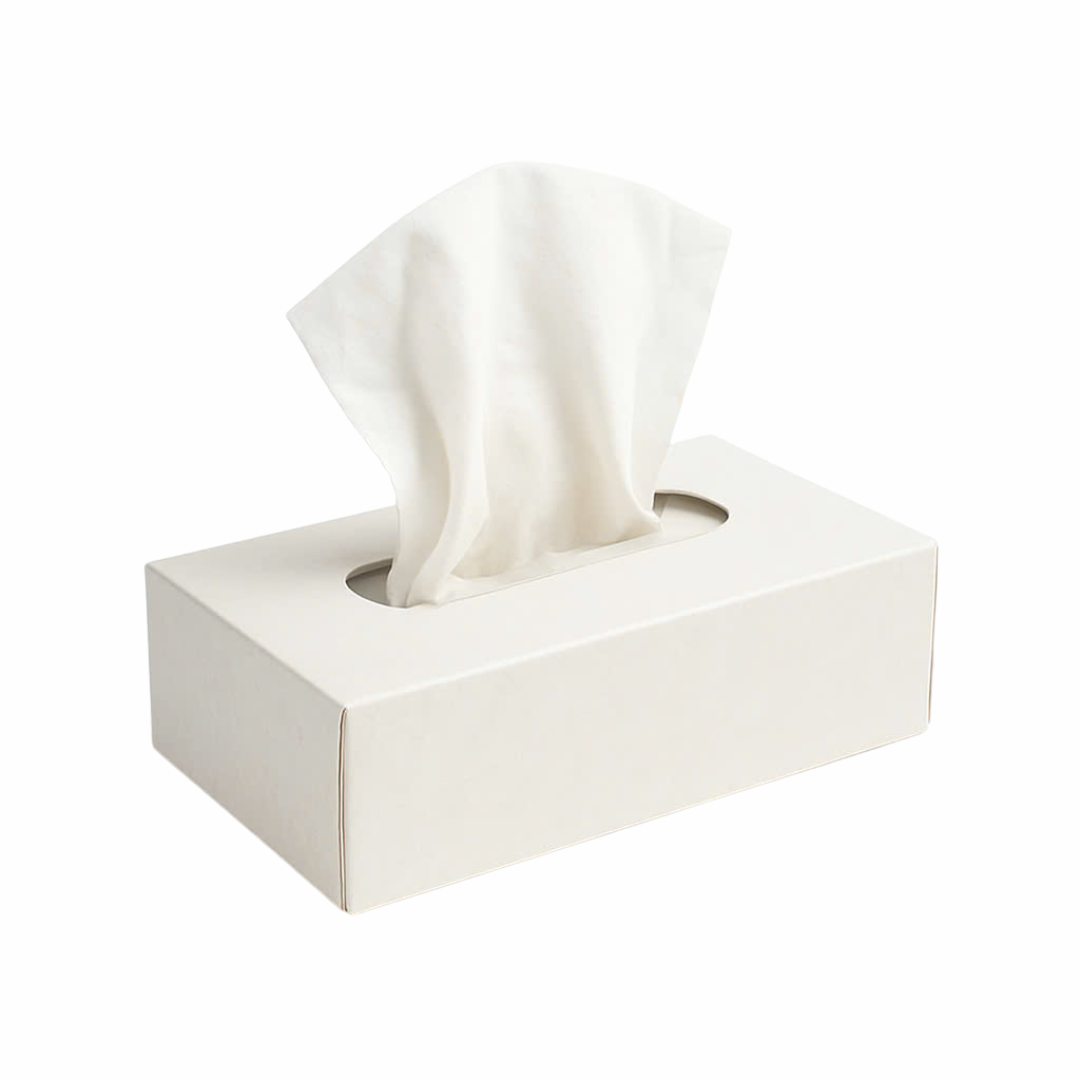 https://stavian.tigrendev.com/wp-content/uploads/2025/03/facial-flat-box.png